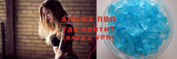 шишки Алексин