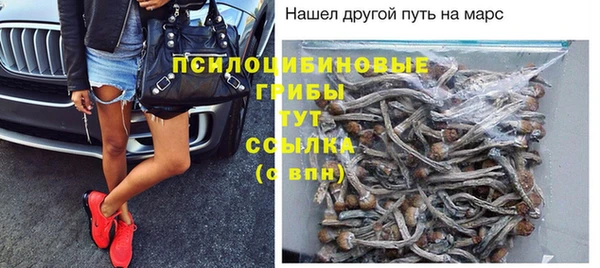 шишки Алексин
