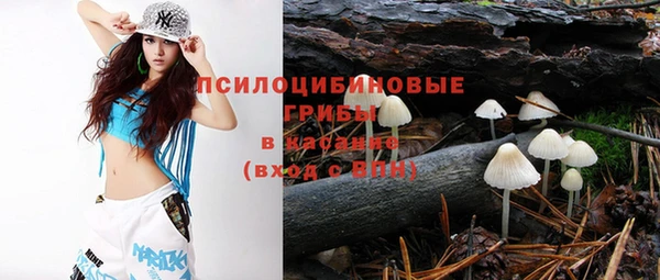 тгк Алзамай