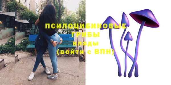 тгк Алзамай