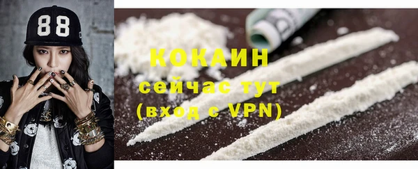 тгк Алзамай
