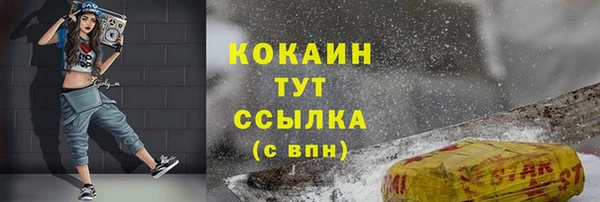 тгк Алзамай
